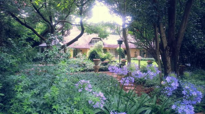 The Village Guest House