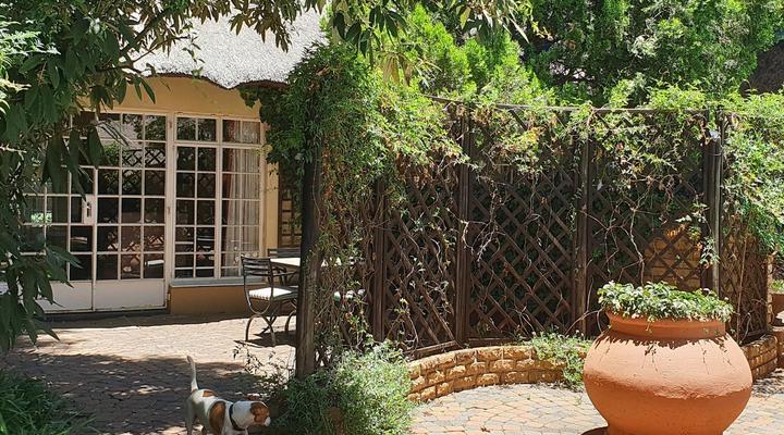 The Village Guest House