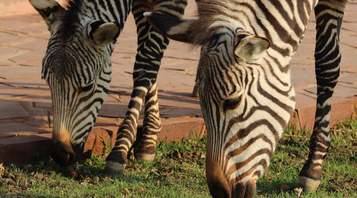 We Kebi Safari Lodge