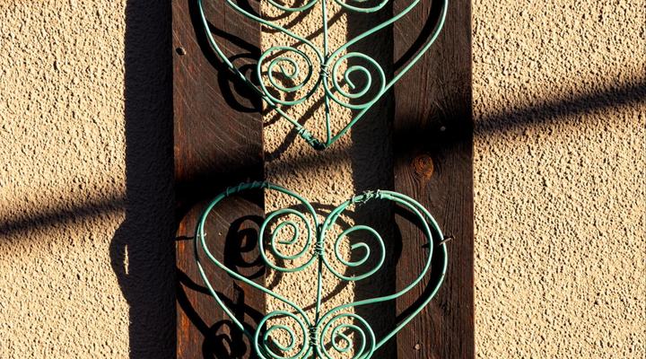 Palm Inn Guesthouse Lephalale