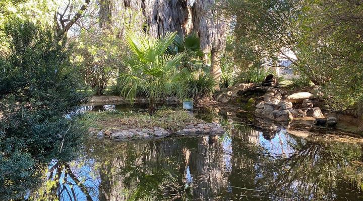 Lakeside Guest House