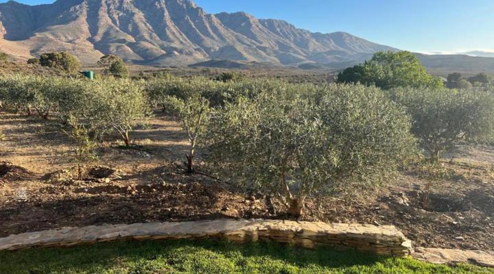 Altevrede Olive Farm