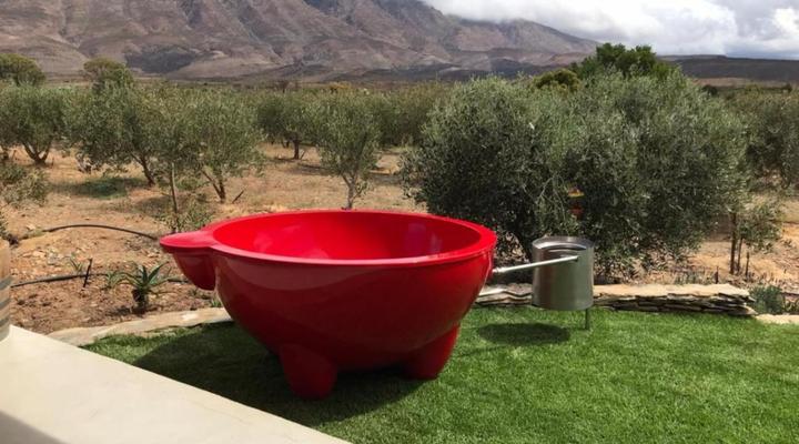 Altevrede Olive Farm