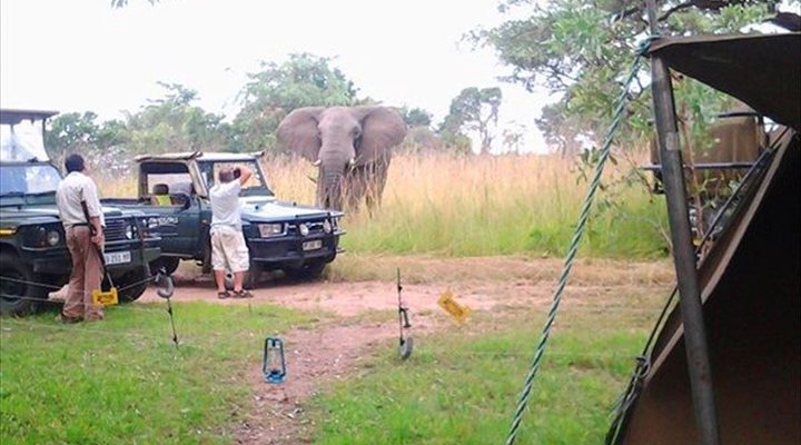 4 Night Kruger Three Park Tented Safari