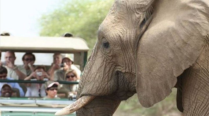 4 Night Kruger Three Park Tented Safari