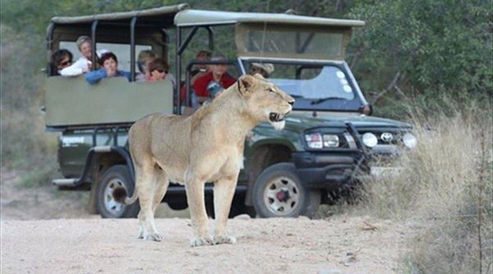 4 Night Kruger Three Park Tented Safari