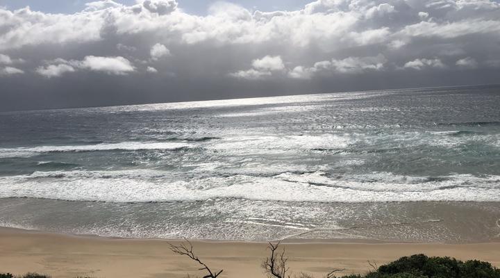 Wakene - Tartaruga Verde