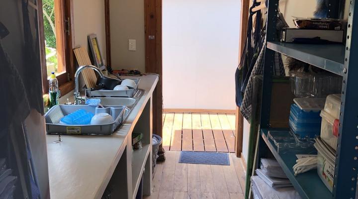 Wakene - Tartaruga Verde