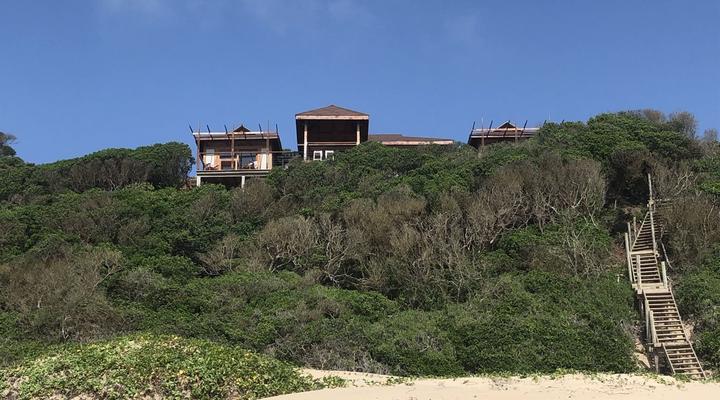 Wakene - Tartaruga Verde