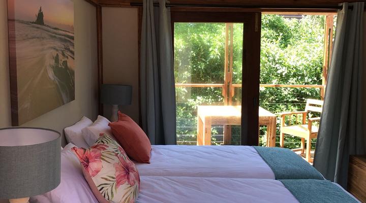 Wakene - Tartaruga Verde