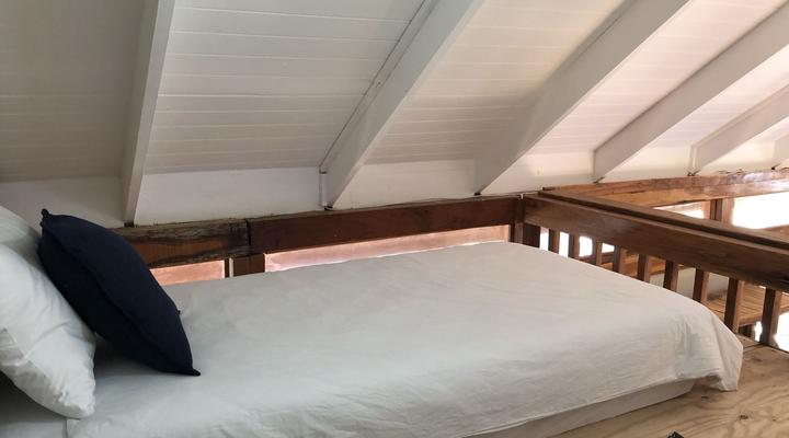 Wakene - Tartaruga Verde