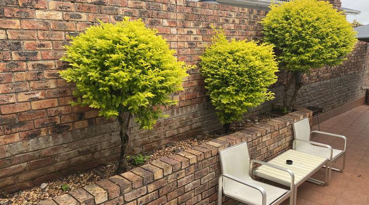 AfricaLove Guest Condo