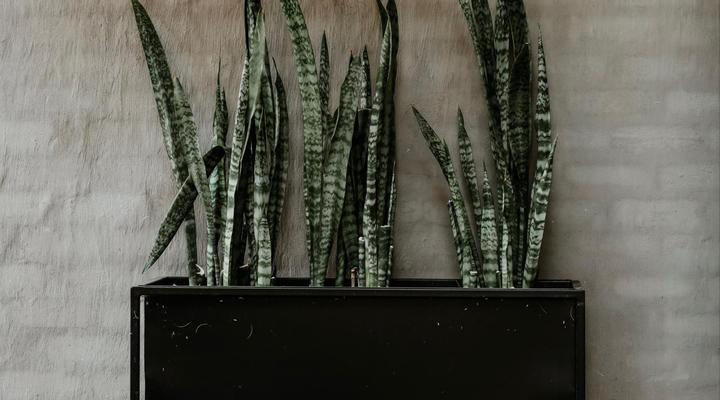 Lighthouse Guesthouse & Cafe