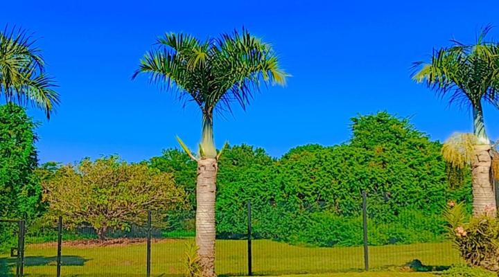 Impangele Guesthouse