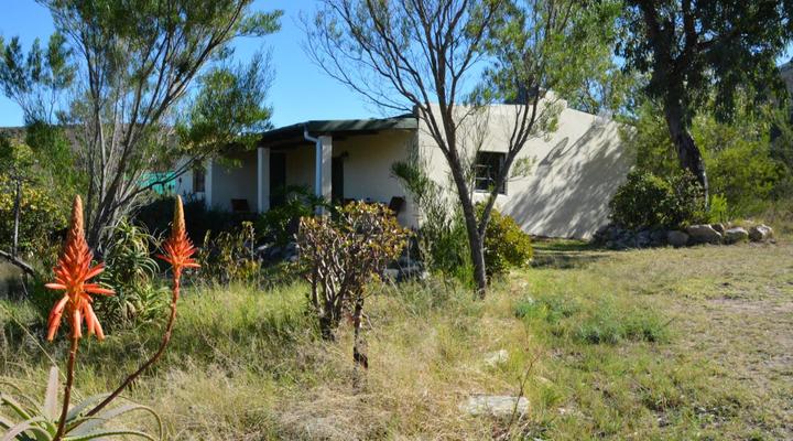 The Country Garden / Beecatcher Guest Farm