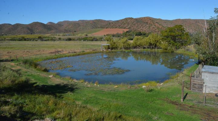 The Country Garden / Beecatcher Guest Farm