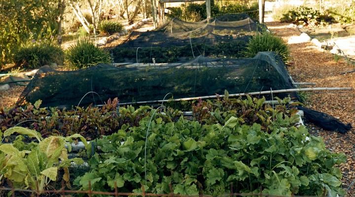 The Neighbour's Farm Homestead