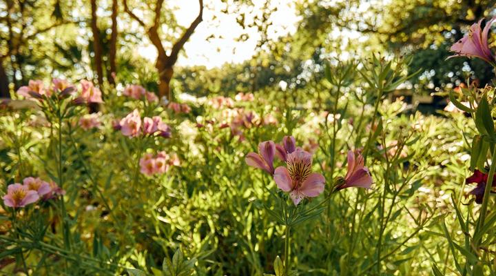 The Neighbour's Farm Homestead