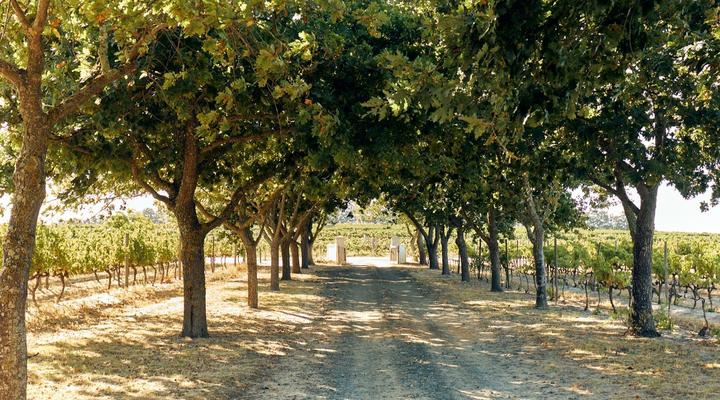 The Neighbour's Farm Homestead