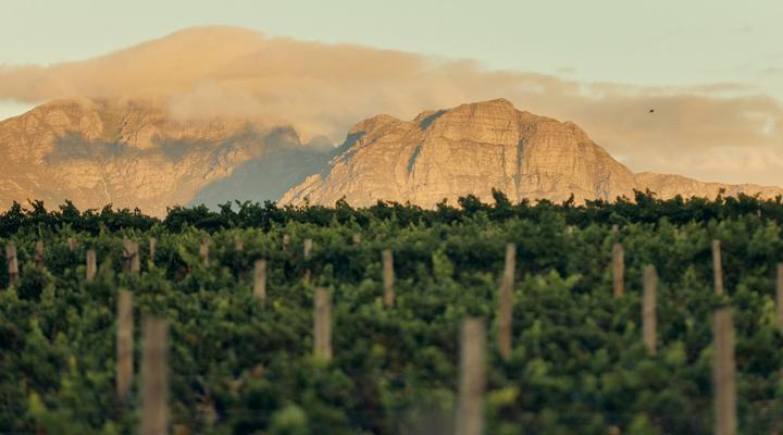 The Neighbour's Farm Homestead