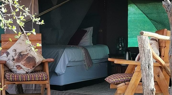 Shanatsi Safari Lodge - Kruger