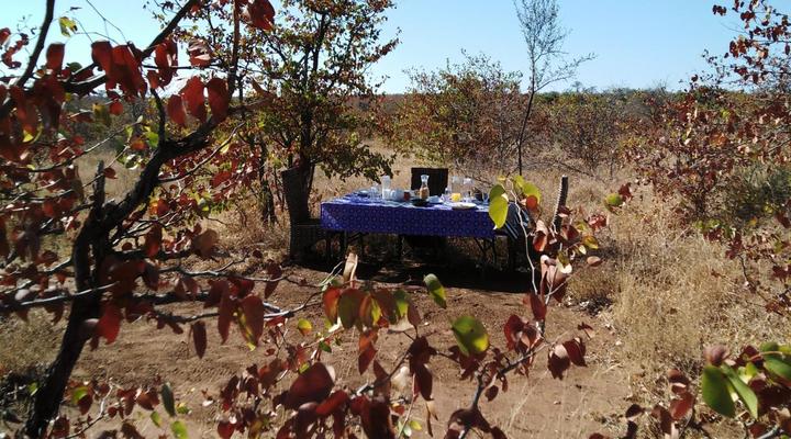 Shanatsi Safari Lodge - Kruger