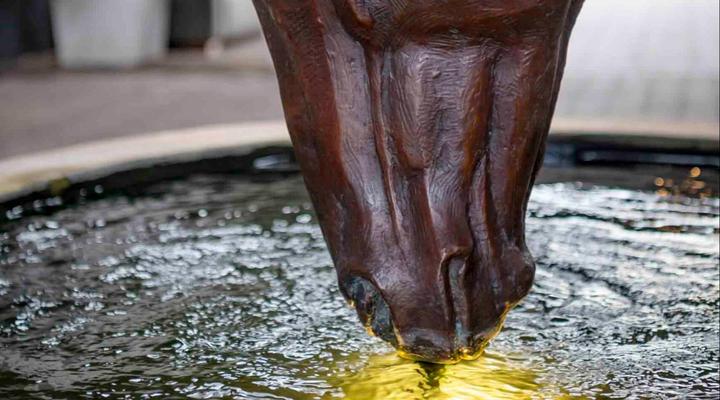 Rhone Hill Polo Club