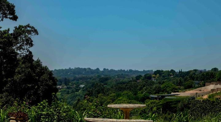 Satori's 419 Accommodation