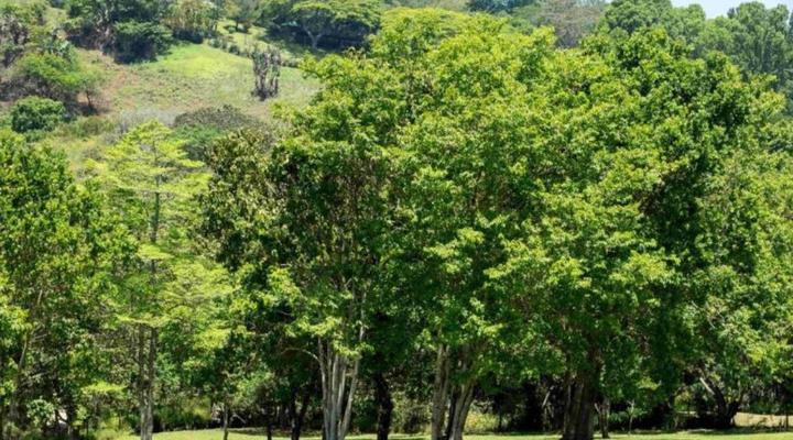 Satori's 419 Accommodation