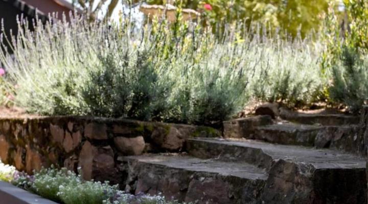 Satori's 419 Accommodation