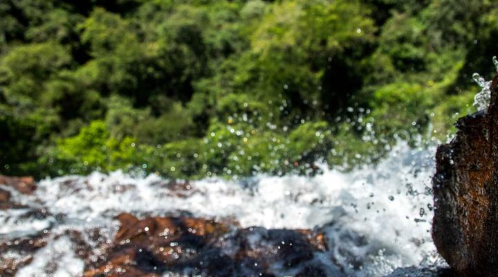 Satori's 419 Accommodation