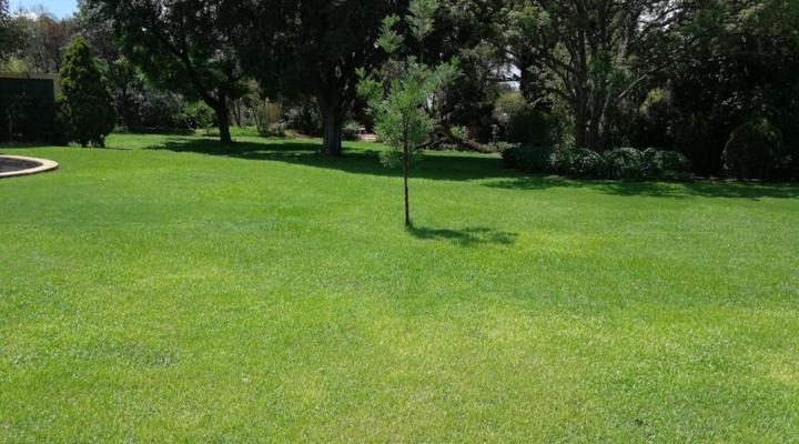 Royal Highness Lux Guesthouse