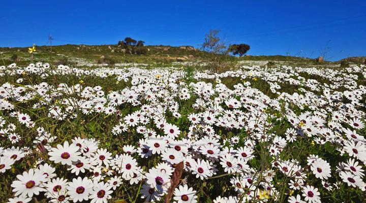 CrystalLagoonLodge@WestCoastLife