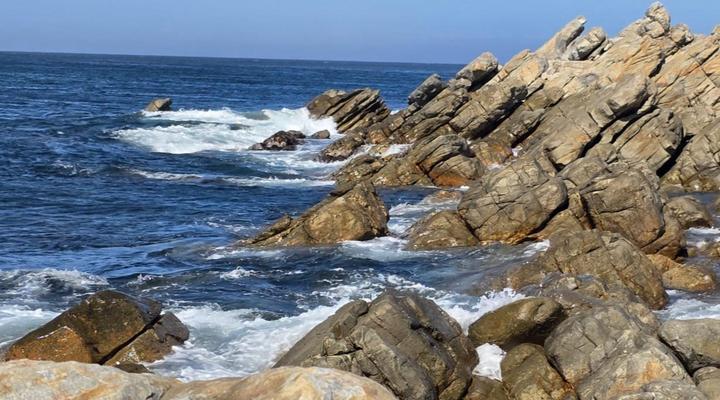 Bella Madre Guesthouse