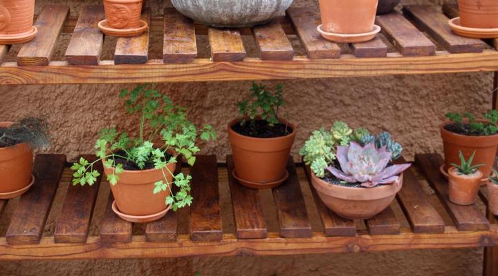 Treetops Guest House