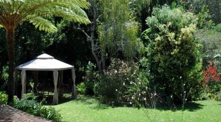 Mongoose Manor Guesthouse