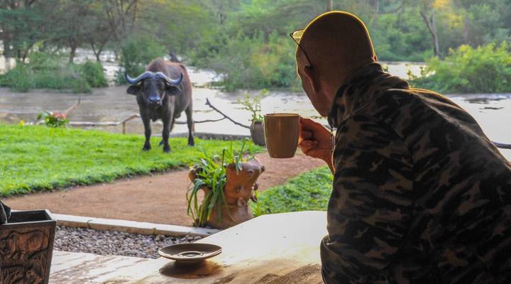 Ishasha Wilderness Camp