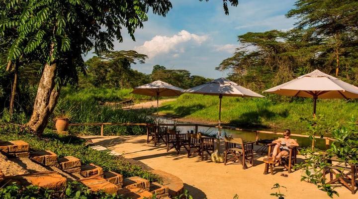 Ishasha Wilderness Camp