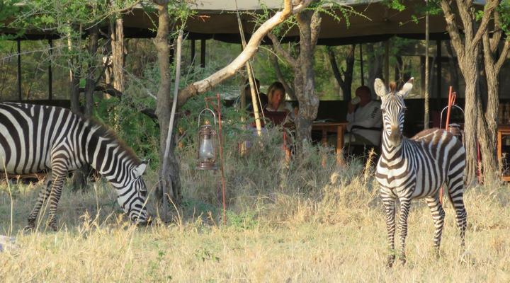 Serengeti Wilderness Camp