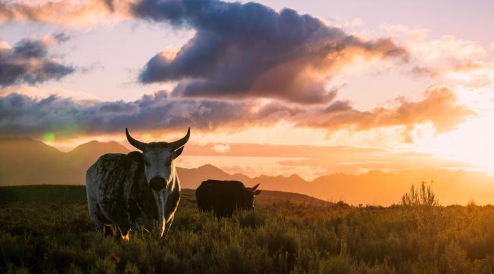 Windvogels - Off Grid Luxury Accommodation