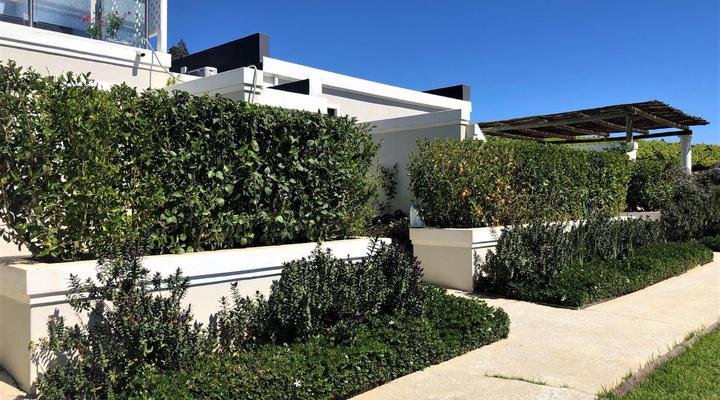 Bakenhof Winelands Lodge