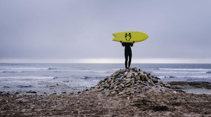 Salty Jackal Surf Camp