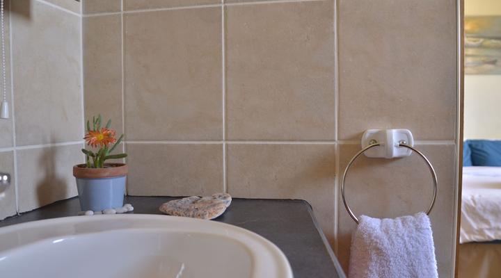 Salty Jackal Surf Camp