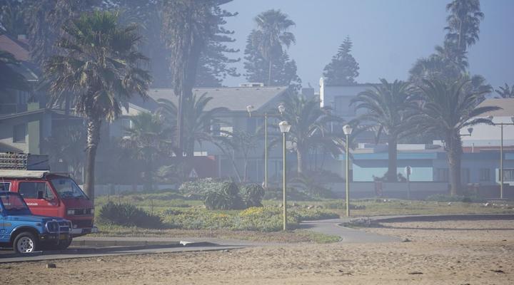 Salty Jackal Surf Camp