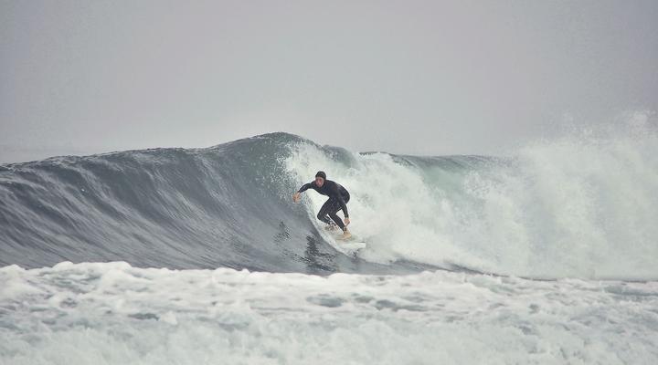 Salty Jackal Surf Camp