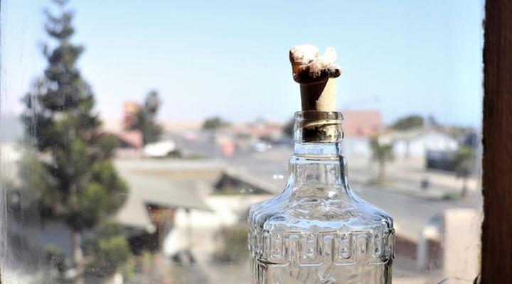 Salty Jackal Surf Camp