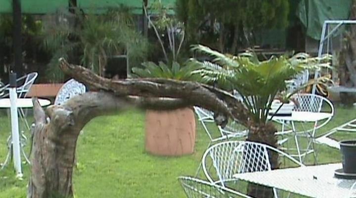 Tshimologo Farm Guest House