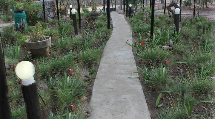 Tshimologo Farm Guest House