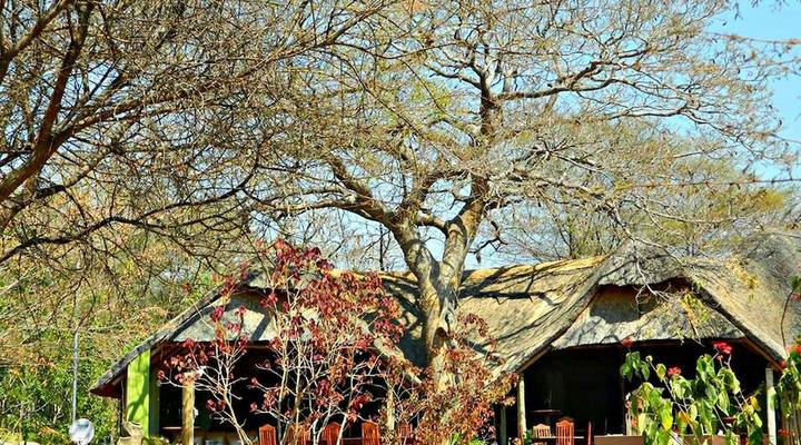 Unlimited Luxury Lodge in Kasane