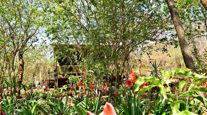 Unlimited Luxury Lodge in Kasane